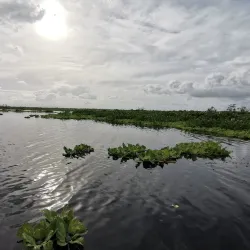 Agusan Marsh Wildlife Sanctuary - Bislig City