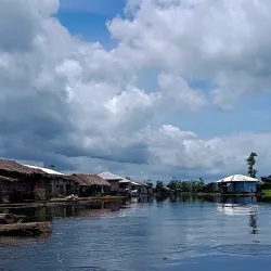 Agusan Marsh Wildlife Sanctuary - Bislig City