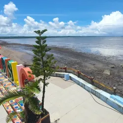 Bislig Mangrove Forest - Bislig City