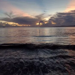 Bislig Mangrove Forest - Bislig City