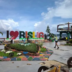 Bislig Mangrove Forest - Bislig City