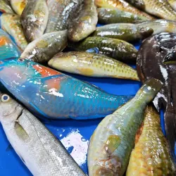 Bislig Public Market - Bislig City