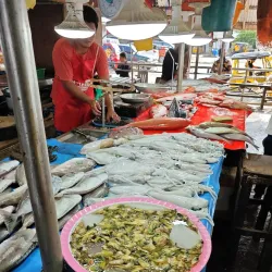 Bislig Public Market - Bislig City