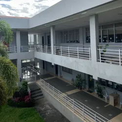 Tindog Festival - Bogo City