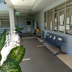 Tindog Festival - Bogo City