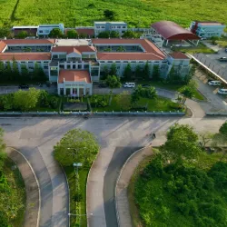 Tindog Festival - Bogo City