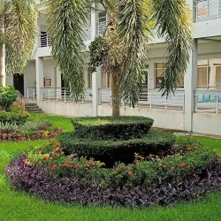 Tindog Festival - Bogo City