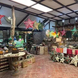 Bohol Bee Farm - Bohol