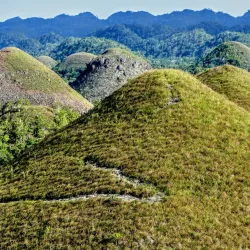 Chocolate Hills - Bohol
