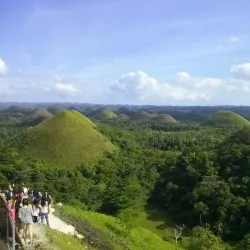 Chocolate Hills - Bohol