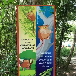 Philippine Tarsier Sanctuary - Bohol