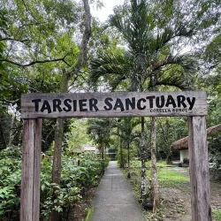 Philippine Tarsier Sanctuary - Bohol