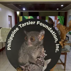Philippine Tarsier Sanctuary - Bohol