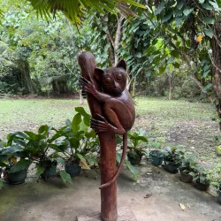 Philippine Tarsier Sanctuary - Bohol