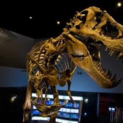 The Mind Museum - Bonifacio Global City