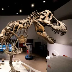 The Mind Museum - Bonifacio Global City