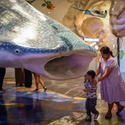 The Mind Museum - Bonifacio Global City