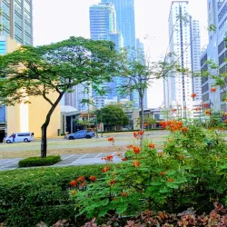 Track 30th - Bonifacio Global City
