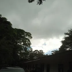 Treetop Adventure Park - Bonifacio Global City