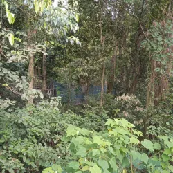 Treetop Adventure Park - Bonifacio Global City