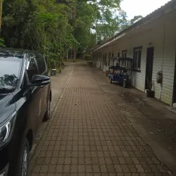 Treetop Adventure Park - Bonifacio Global City