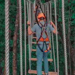 Treetop Adventure Park - Bonifacio Global City