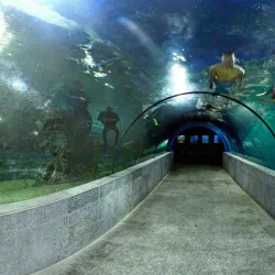 Boracay Oceanarium - Boracay