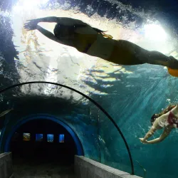 Boracay Oceanarium - Boracay