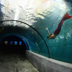 Boracay Oceanarium - Boracay