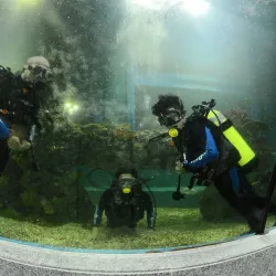 Boracay Oceanarium - Boracay