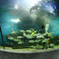 Boracay Oceanarium - Boracay