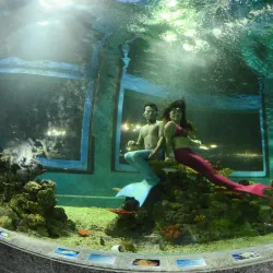 Boracay Oceanarium - Boracay