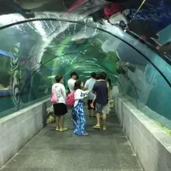 Boracay Oceanarium - Boracay