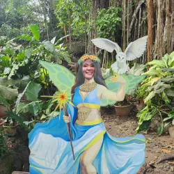Balete Tree of Borongan - Borongan City