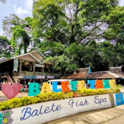 Balete Tree of Borongan - Borongan City