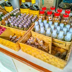 Balete Tree of Borongan - Borongan City