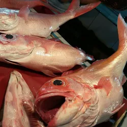 Borongan Public Market - Borongan City