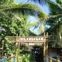 Puhagan Beach - Borongan City