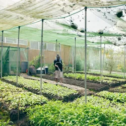 Gawad Kalinga Enchanted Farm - Bulacan
