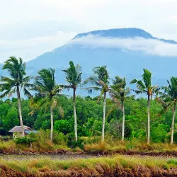 Mount Mayapay - Butuan