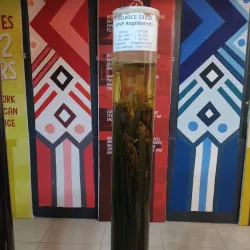 Nueva Ecija Museum - Cabanatuan