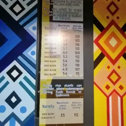 Nueva Ecija Museum - Cabanatuan