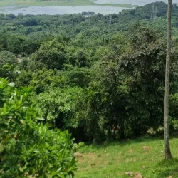 Lawa Lake - Cabuyao City