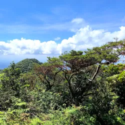Mount Makiling Forest Reserve - Cabuyao City