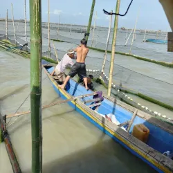Lawa ng Bay (Bay Lake) - Cabuyao
