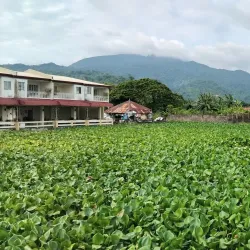 Lawa ng Bay (Bay Lake) - Cabuyao