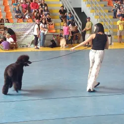 Cadiz City Sports Complex - Cadiz