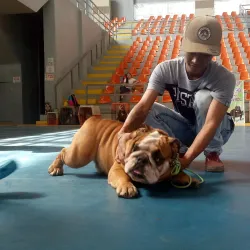 Cadiz City Sports Complex - Cadiz