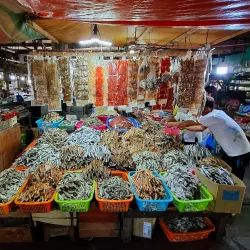 Cadiz Public Market - Cadiz