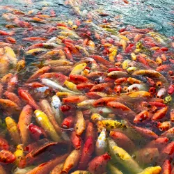 Nuvali Nature Park - Calamba